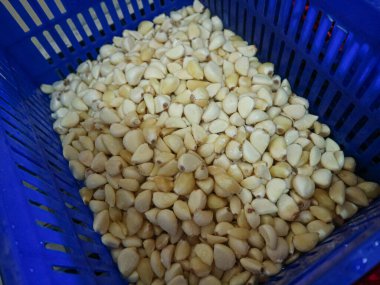 Sepette sarımsak var. Sarımsak hasat edildi.