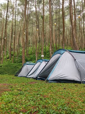 Huzurlu Çam Ormanı Kamp Macerası