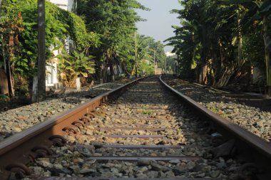 Çimenlikle çevrili Eski Tren Rayları Horizon 'da Kayboluyor