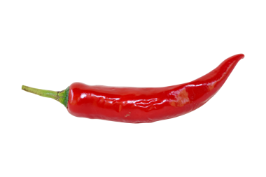 Şeffaf Arkaplanda Tek Sıcak Kırmızı Biber