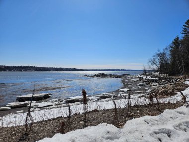 Parlak mavi gökyüzü ve kumlu kıyı şeridi boyunca uzanan kar parçalarıyla el değmemiş kış plajı. Tahta çitler kıyı şeridi boyunca uzanan sakin okyanus suları ufka kadar uzanıyor. Deniz kıyısındaki kış mevsiminde güneşli bir gün..