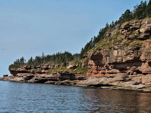 Sakin mavi sulara tepeden bakan sık ormanlarla kaplı engebeli kıyı kayalıkları. Doğal vahşi kıyı şeridi el değmemiş deniz manzarası sergiliyor..