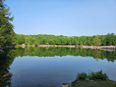 Sakin, aynaya benzeyen suyla yeşil ağaçları ve açık mavi gökyüzünü yansıtan sakin orman gölü. Huzurlu, doğal manzara rahatlamak için mükemmel, doğa geri çekiliyor, vahşi doğa kaçışları, ve açık hava refahı temaları.