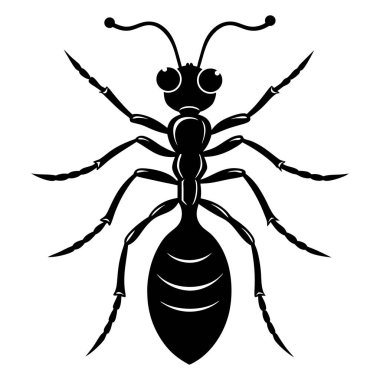 karıncaların vektör illüstrasyonu