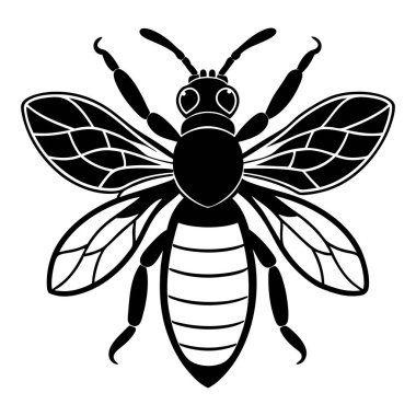 Vektör çizimi. Beyaz arkaplanda arı