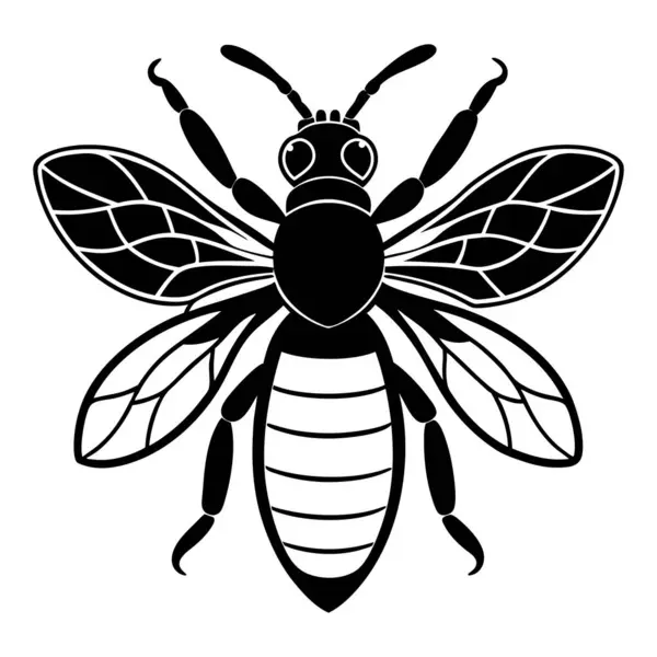 Vektör çizimi. Beyaz arkaplanda arı