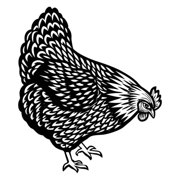 Tavuk, horoz, tavuk. Siyah ve beyaz çizimler. izole vektör illüstrasyonu.