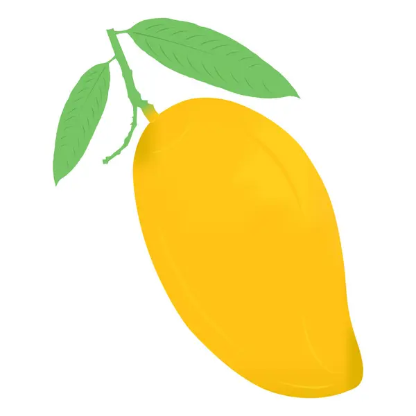  Sarı mango illüstrasyon vektör yaprağı