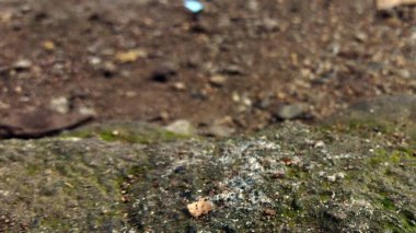 Bir taş dokusunu kapat