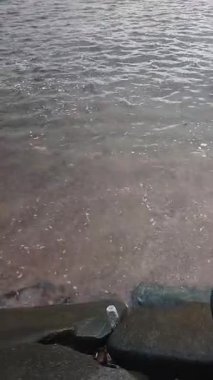 Güzel bir deniz manzarası. Doğa, doğa