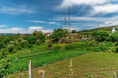 Douro Vadisi, Portekiz 19 Mayıs 2022: Kuzey Portekiz boyunca uzanan Douro Nehri 'ni çevreleyen pitoresk bölge. Bölge teraslı üzüm bağları ve büyüleyici köyleriyle ünlüdür..