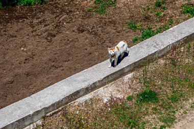 Douro Vadisi, Portekiz 19 Mayıs 2022: Kuzey Portekiz boyunca uzanan Douro Nehri 'ni çevreleyen pitoresk bölge. Bölge teraslı üzüm bağları ve büyüleyici köyleriyle ünlüdür..