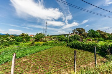 Douro Vadisi, Portekiz 19 Mayıs 2022: Kuzey Portekiz boyunca uzanan Douro Nehri 'ni çevreleyen pitoresk bölge. Bölge teraslı üzüm bağları ve büyüleyici köyleriyle ünlüdür..