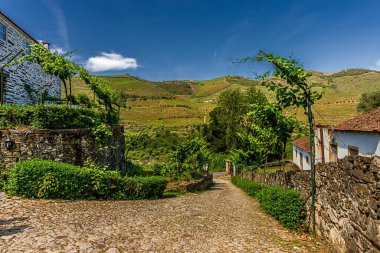 Douro Vadisi, Portekiz 19 Mayıs 2022: Kuzey Portekiz boyunca uzanan Douro Nehri 'ni çevreleyen pitoresk bölge. Bölge teraslı üzüm bağları ve büyüleyici köyleriyle ünlüdür..