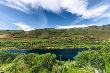 Douro Vadisi, Portekiz 19 Mayıs 2022: Kuzey Portekiz boyunca uzanan Douro Nehri 'ni çevreleyen pitoresk bölge. Bölge teraslı üzüm bağları ve büyüleyici köyleriyle ünlüdür..