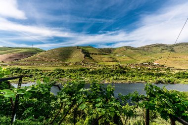 Douro Vadisi, Portekiz 19 Mayıs 2022: Kuzey Portekiz boyunca uzanan Douro Nehri 'ni çevreleyen pitoresk bölge. Bölge teraslı üzüm bağları ve büyüleyici köyleriyle ünlüdür..
