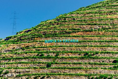 Douro Vadisi, Portekiz, 20 Mayıs 2022: Douro Nehri 'ni çevreleyen güzel bölge, Portekiz' in kuzeyinde yer almaktadır. Bölge teraslı üzüm bağları ve büyüleyici köyleriyle ünlüdür..