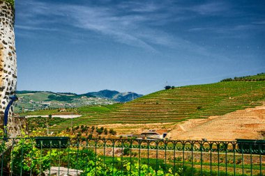 Douro Vadisi, Portekiz, 20 Mayıs 2022: Douro Nehri 'ni çevreleyen güzel bölge, Portekiz' in kuzeyinde yer almaktadır. Bölge teraslı üzüm bağları ve büyüleyici köyleriyle ünlüdür..