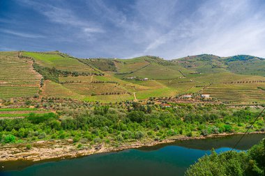 Douro Vadisi, Portekiz, 20 Mayıs 2022: Douro Nehri 'ni çevreleyen güzel bölge, Portekiz' in kuzeyinde yer almaktadır. Bölge teraslı üzüm bağları ve büyüleyici köyleriyle ünlüdür..