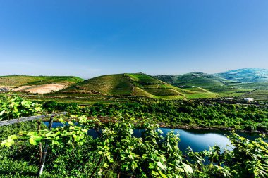 Douro Vadisi, Portekiz, 20 Mayıs 2022: Douro Nehri 'ni çevreleyen güzel bölge, Portekiz' in kuzeyinde yer almaktadır. Bölge teraslı üzüm bağları ve büyüleyici köyleriyle ünlüdür..