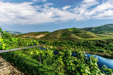 Douro Vadisi, Portekiz, 20 Mayıs 2022: Douro Nehri 'ni çevreleyen güzel bölge, Portekiz' in kuzeyinde yer almaktadır. Bölge teraslı üzüm bağları ve büyüleyici köyleriyle ünlüdür..