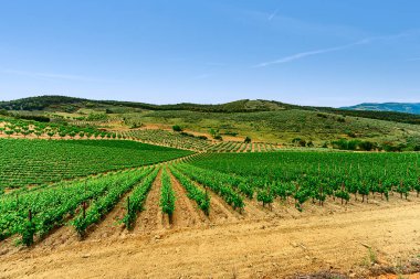 Douro Vadisi, Portekiz 21 Mayıs 2022: Douro Nehri 'ni çevreleyen ve kuzey Portekiz boyunca uzanan pitoresk bölge. Bölge teraslı üzüm bağları ve büyüleyici köyleriyle ünlüdür..