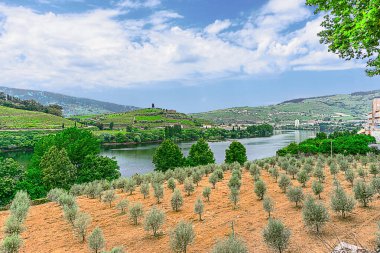 Douro Vadisi, Portekiz 21 Mayıs 2022: Douro Nehri 'ni çevreleyen ve kuzey Portekiz boyunca uzanan pitoresk bölge. Bölge teraslı üzüm bağları ve büyüleyici köyleriyle ünlüdür..