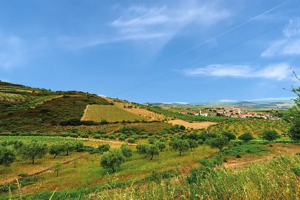 Douro Vadisi, Portekiz 21 Mayıs 2022: Douro Nehri 'ni çevreleyen ve kuzey Portekiz boyunca uzanan pitoresk bölge. Bölge teraslı üzüm bağları ve büyüleyici köyleriyle ünlüdür..
