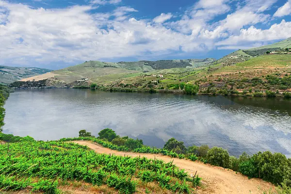 Douro Vadisi, Portekiz 21 Mayıs 2022: Douro Nehri 'ni çevreleyen ve kuzey Portekiz boyunca uzanan pitoresk bölge. Bölge teraslı üzüm bağları ve büyüleyici köyleriyle ünlüdür..