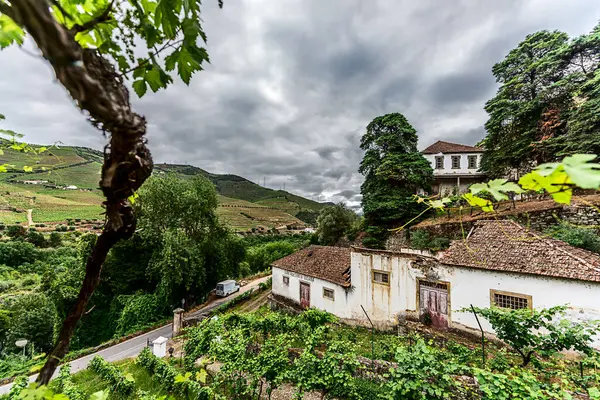 Douro Vadisi, Portekiz, 22 Mayıs 2022: Kuzey Portekiz boyunca uzanan Douro Nehri 'ni çevreleyen pitoresk bölge. Bölge teraslı üzüm bağları ve büyüleyici köyleriyle ünlüdür..