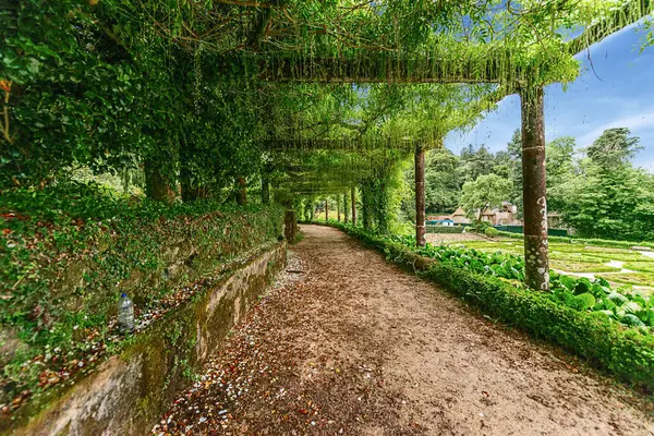 Coimbra, Portekiz 23 Mayıs 2022 Bussaco Sarayı, Portekiz 'in orta kesimindeki Bussaco sıradağlarında lüks bir otele ev sahipliği yapan eski bir manastır..