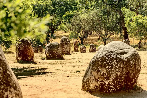 Evora, Portekiz 27 Mayıs 2022: Almendres 'in Cromlech' i 7.000 yıl öncesine dayanan ve en ünlü Neolitik anıttan 2000 yıl daha eski olan bir megalitik kompleksi, Stonehenge..