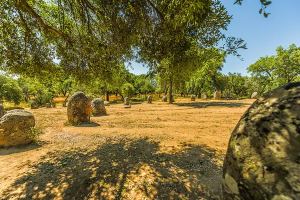Evora, Portekiz 27 Mayıs 2022: Almendres 'in Cromlech' i 7.000 yıl öncesine dayanan ve en ünlü Neolitik anıttan 2000 yıl daha eski olan bir megalitik kompleksi, Stonehenge..