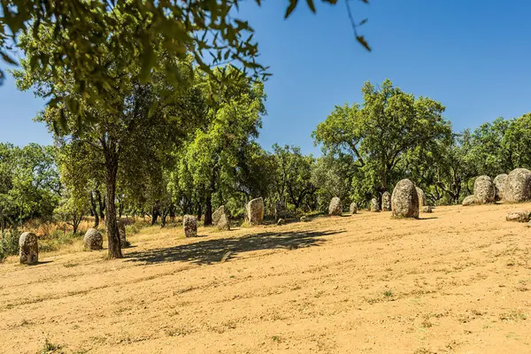 Evora, Portekiz 27 Mayıs 2022: Almendres 'in Cromlech' i 7.000 yıl öncesine dayanan ve en ünlü Neolitik anıttan 2000 yıl daha eski olan bir megalitik kompleksi, Stonehenge..