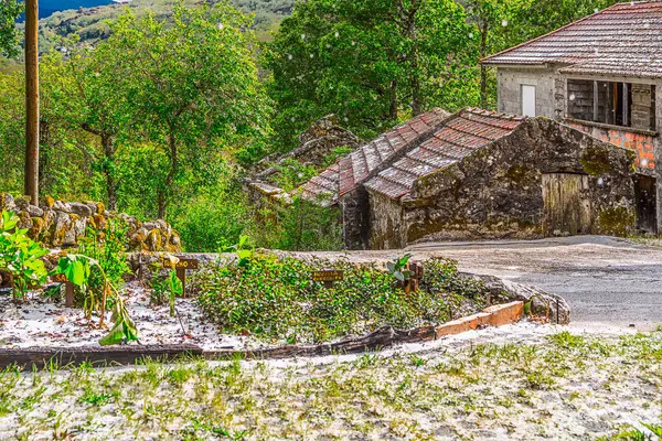 Castro Laboreiro, Portekiz 01 Mayıs 2024: Peneda Geres Ulusal Parkı 'nın Viana do Castelo Bölgesi' nde yer alan küçük Castro Laboreiro köyünün hemen dışındaki küçük tarihi konutlar.