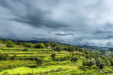 Penedas Geres, Portekiz 2 Mayıs 2024: Bu Ulusal Park verimli ormanlarla, kartpostal benzeri manzaralarla, nehirlerle ve bitki ve hayvan çeşitliliğiyle kaplı seyrek nüfuslu bir dağlık bölgedir..