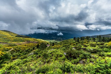 Penedas Geres, Portekiz 2 Mayıs 2024: Bu Ulusal Park verimli ormanlarla, kartpostal benzeri manzaralarla, nehirlerle ve bitki ve hayvan çeşitliliğiyle kaplı seyrek nüfuslu bir dağlık bölgedir..