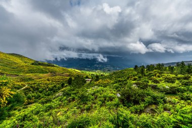 Penedas Geres, Portekiz 2 Mayıs 2024: Bu Ulusal Park verimli ormanlarla, kartpostal benzeri manzaralarla, nehirlerle ve bitki ve hayvan çeşitliliğiyle kaplı seyrek nüfuslu bir dağlık bölgedir..
