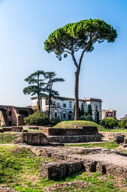 Roma, İtalya Sep 28, 2009: Palatine Hill, İtalyan başkentinin doğduğu yer olarak bilinir, M.Ö. 1000 yılından beri yerleşim olduğuna inanılır..