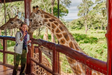 Nairobi, Kenya Sep 06, 2018: Zürafa Merkezi sadece Doğu Afrika 'nın çayırlarında bulunan savunmasız zürafayı korumak için kuruldu..