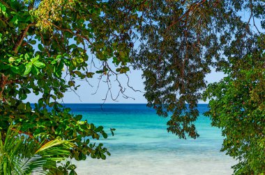 Barbados eşsiz doğal güzelliklere sahip kayalık yerlerden muhteşem plajlara ve kıyılara manzaralar sunan bir yerdir..