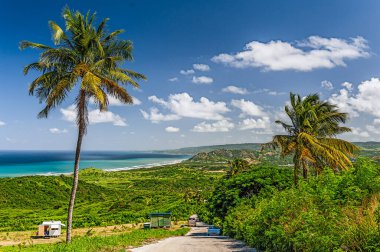 Barbados eşsiz doğal güzelliklere sahip kayalık yerlerden muhteşem plajlara ve kıyılara manzaralar sunan bir yerdir..