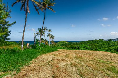 Barbados eşsiz doğal güzelliklere sahip kayalık yerlerden muhteşem plajlara ve kıyılara manzaralar sunan bir yerdir..