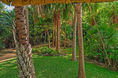 Barbados 'un Andromeda Botanik Bahçeleri bu güzel adanın iç cennetini gösteriyor.. 