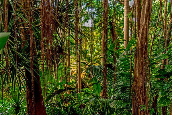 Barbados 'un Andromeda Botanik Bahçeleri bu güzel adanın iç cennetini gösteriyor.. 