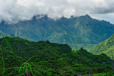 Soyu tükenmiş Tahiti yanardağının içinde