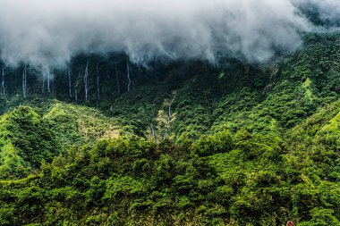 Soyu tükenmiş Tahiti yanardağının içinde
