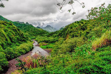 Soyu tükenmiş Tahiti yanardağının içinde
