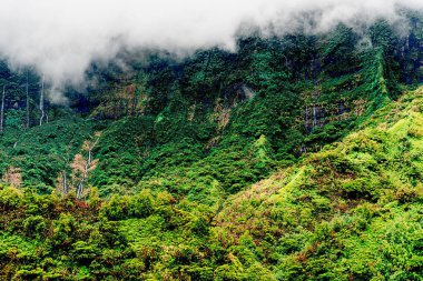 Soyu tükenmiş Tahiti yanardağının içinde