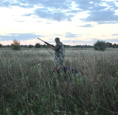 Bıldırcın avında köpekli avcı